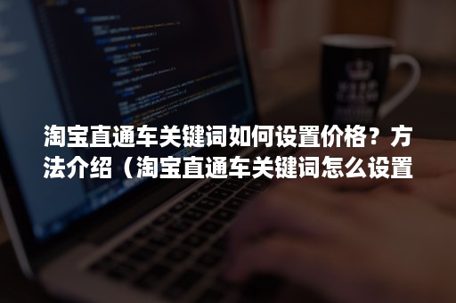 淘宝直通车关键词如何设置价格？方法介绍（淘宝直通车关键词怎么设置出价）