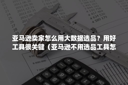 亚马逊卖家怎么用大数据选品？用好工具很关键（亚马逊不用选品工具怎么选品）