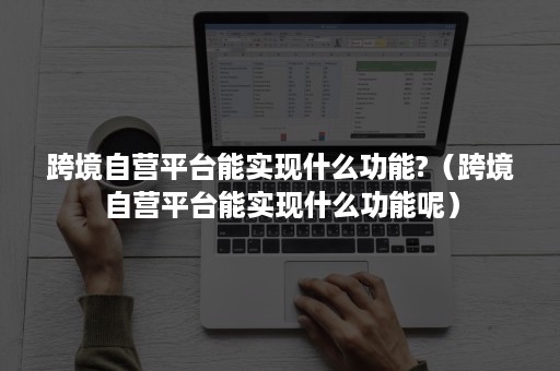 跨境自营平台能实现什么功能?（跨境自营平台能实现什么功能呢）