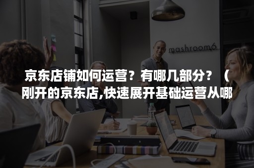 京东店铺如何运营?有哪几部分?(刚开的京东店,快速展开基础运营从哪开始) 京东店铺如何运营?有哪几部分?(刚开的京东店,快速展开基础运营从哪开始)