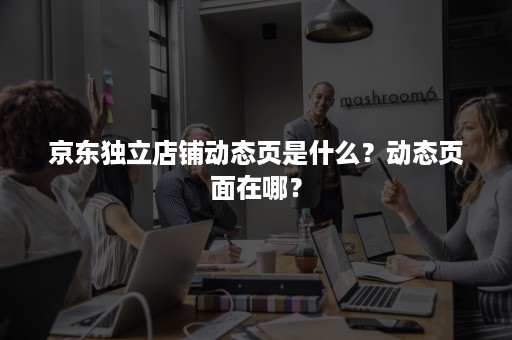 京东独立店铺动态页是什么？动态页面在哪？