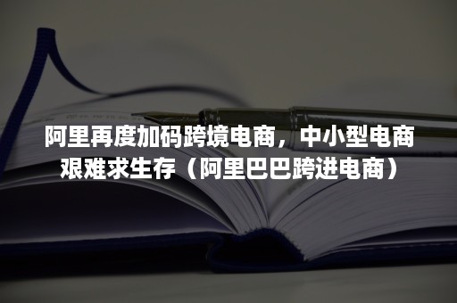 阿里再度加码跨境电商，中小型电商艰难求生存（阿里巴巴跨进电商）