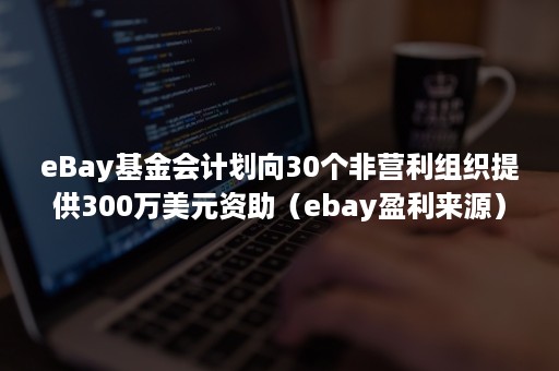 eBay基金会计划向30个非营利组织提供300万美元资助（ebay盈利来源）