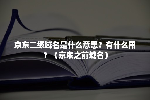 京东二级域名是什么意思？有什么用？（京东之前域名）