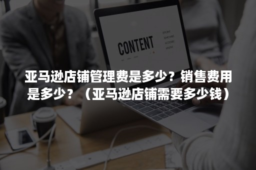 亚马逊店铺管理费是多少？销售费用是多少？（亚马逊店铺需要多少钱）