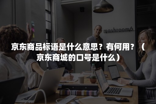 京东商品标语是什么意思？有何用？（京东商城的口号是什么）
