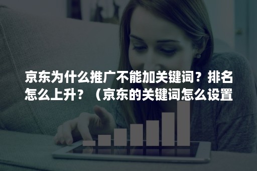 京东为什么推广不能加关键词?排名怎么上升?(京东的关键词怎么设置) 京东为什么推广不能加关键词?排名怎么上升?(京东的关键词怎么设置)