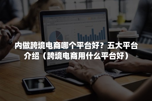 内做跨境电商哪个平台好？五大平台介绍（跨境电商用什么平台好）