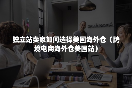 独立站卖家如何选择美国海外仓(跨境电商海外仓美国站) 独立站卖家如何选择美国海外仓(跨境电商海外仓美国站)