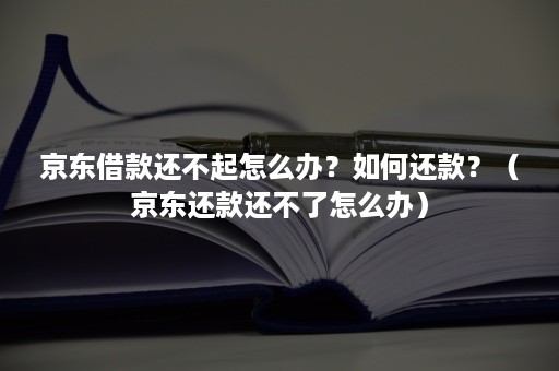 京东借款还不起怎么办？如何还款？（京东还款还不了怎么办）