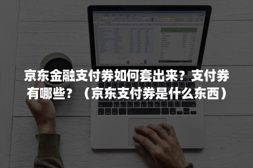 京东金融支付券如何套出来?支付券有哪些?(京东支付券是什么东西) 京东金融支付券如何套出来?支付券有哪些?(京东支付券是什么东西)