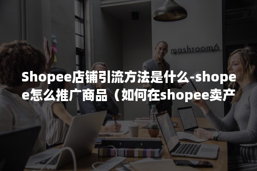 Shopee店铺引流方法是什么-shopee怎么推广商品（如何在shopee卖产品）