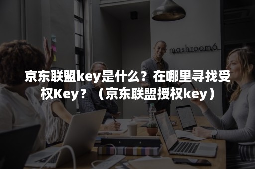 京东联盟key是什么？在哪里寻找受权Key？（京东联盟授权key）