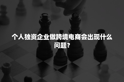 个人独资企业做跨境电商会出现什么问题？