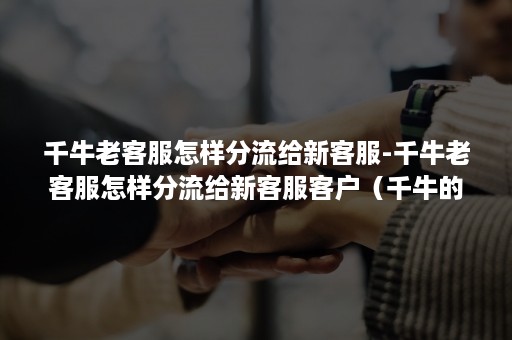 千牛老客服怎样分流给新客服-千牛老客服怎样分流给新客服客户(千牛的客服分流在哪里) 千牛老客服怎样分流给新客服-千牛老客服怎样分流给新客服客户(千牛的客服分流在哪里)