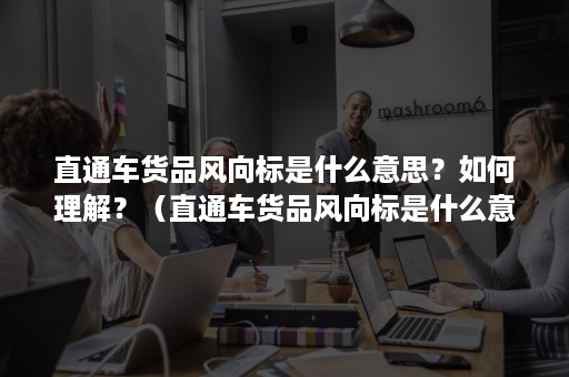 直通车货品风向标是什么意思？如何理解？（直通车货品风向标是什么意思?如何理解一下）