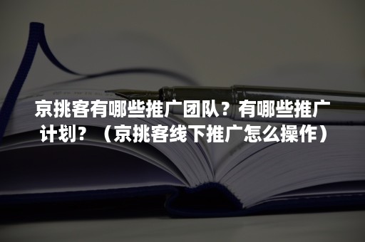 京挑客有哪些推广团队？有哪些推广计划？（京挑客线下推广怎么操作）