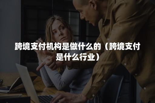 跨境支付机构是做什么的(跨境支付是什么行业) 跨境支付机构是做什么的(跨境支付是什么行业)