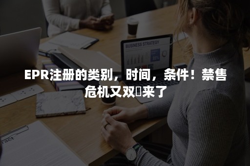 EPR注册的类别，时间，条件！禁售危机又双叒来了