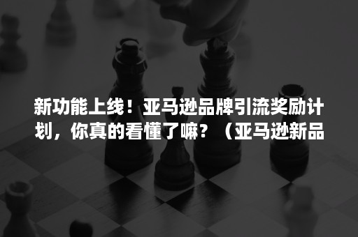 新功能上线！亚马逊品牌引流奖励计划，你真的看懂了嘛？（亚马逊新品流量扶持）