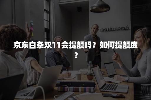 京东白条双11会提额吗?如何提额度? 京东白条双11会提额吗?如何提额度?