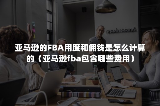 亚马逊的FBA用度和佣钱是怎么计算的（亚马逊fba包含哪些费用）