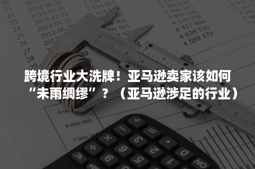 跨境行业大洗牌！亚马逊卖家该如何“未雨绸缪”？（亚马逊涉足的行业）