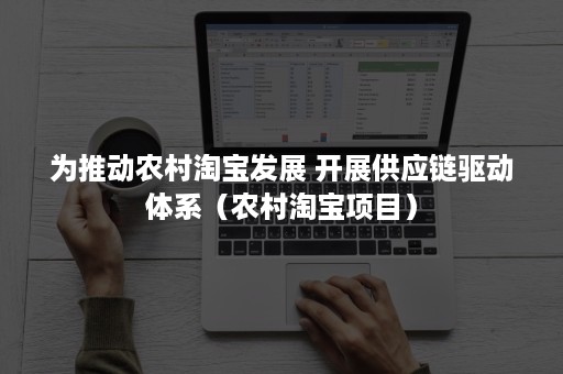 为推动农村淘宝发展 开展供应链驱动体系（农村淘宝项目）