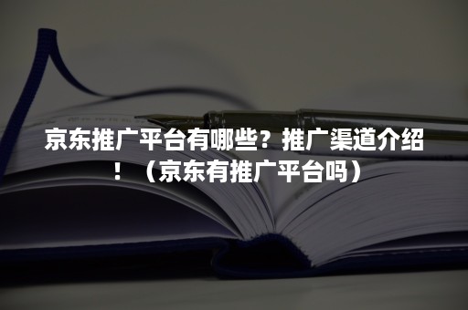 京东推广平台有哪些？推广渠道介绍！（京东有推广平台吗）