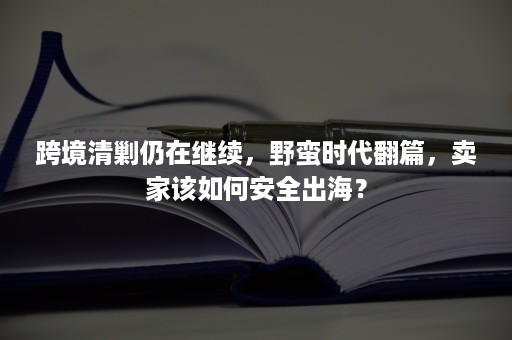 跨境清剿仍在继续，野蛮时代翻篇，卖家该如何安全出海？