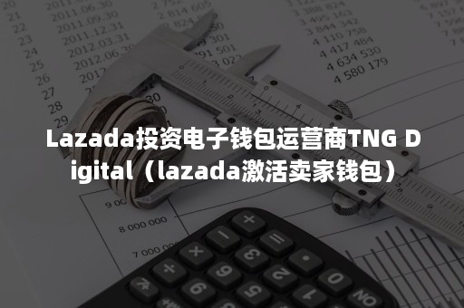 Lazada投资电子钱包运营商TNG Digital（lazada激活卖家钱包）