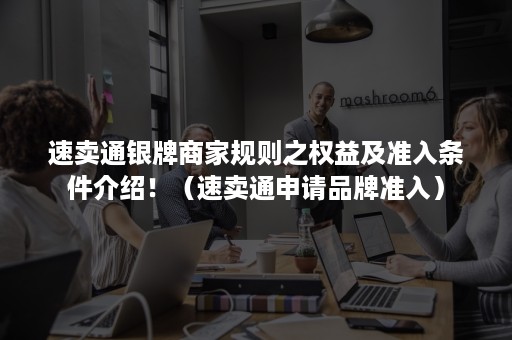 速卖通银牌商家规则之权益及准入条件介绍!(速卖通申请品牌准入) 速卖通银牌商家规则之权益及准入条件介绍!(速卖通申请品牌准入)