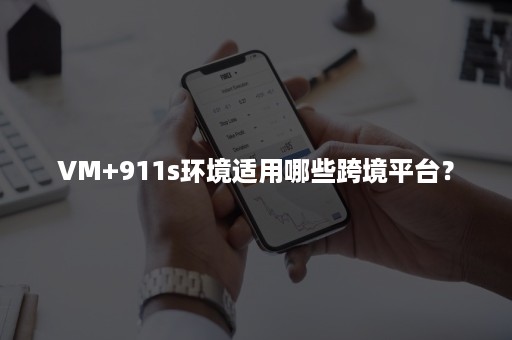 VM+911s环境适用哪些跨境平台？