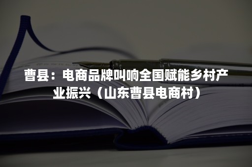 曹县：电商品牌叫响全国赋能乡村产业振兴（山东曹县电商村）