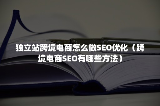 独立站跨境电商怎么做SEO优化（跨境电商SEO有哪些方法）