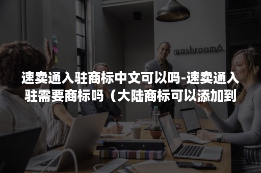 速卖通入驻商标中文可以吗-速卖通入驻需要商标吗(大陆商标可以添加到速卖通吗) 速卖通入驻商标中文可以吗-速卖通入驻需要商标吗(大陆商标可以添加到速卖通吗)