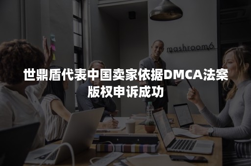 世鼎盾代表中国卖家依据DMCA法案版权申诉成功