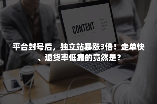 平台封号后，独立站暴涨3倍！走单快、退货率低靠的竟然是？