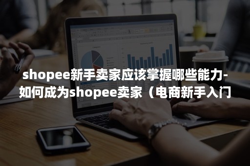 shopee新手卖家应该掌握哪些能力-如何成为shopee卖家（电商新手入门^shopee）