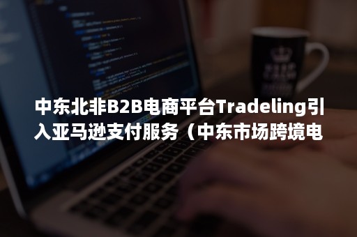 中东北非B2B电商平台Tradeling引入亚马逊支付服务（中东市场跨境电商平台）