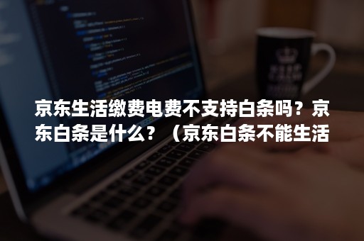 京东生活缴费电费不支持白条吗？京东白条是什么？（京东白条不能生活缴费吗）