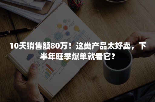 10天销售额80万！这类产品太好卖，下半年旺季爆单就看它？