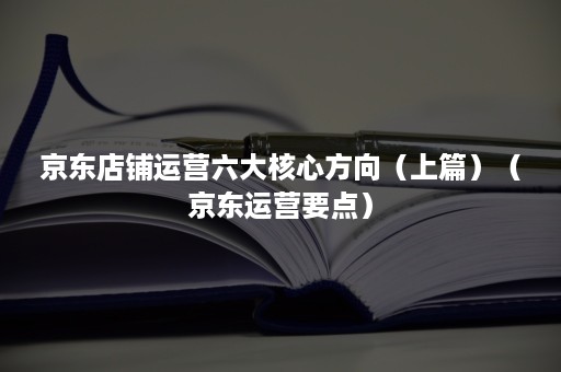 京东店铺运营六大核心方向（上篇）（京东运营要点）