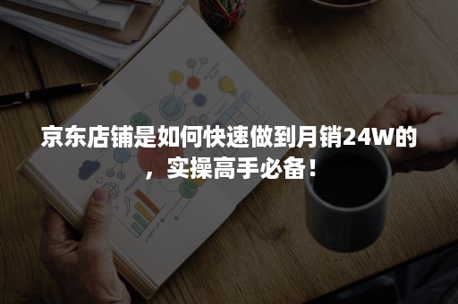 京东店铺是如何快速做到月销24W的，实操高手必备！