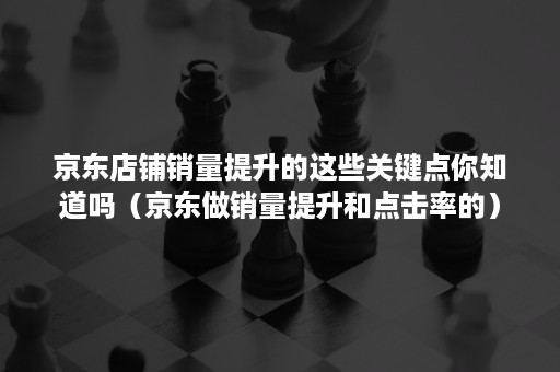 京东店铺销量提升的这些关键点你知道吗（京东做销量提升和点击率的）