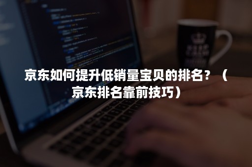 京东如何提升低销量宝贝的排名?(京东排名靠前技巧) 京东如何提升低销量宝贝的排名?(京东排名靠前技巧)
