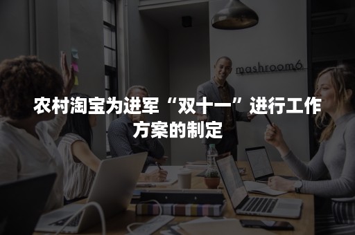 农村淘宝为进军“双十一”进行工作方案的制定 农村淘宝为进军“双十一”进行工作方案的制定
