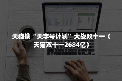 天猫携“天字号计划”大战双十一（天猫双十一2684亿）