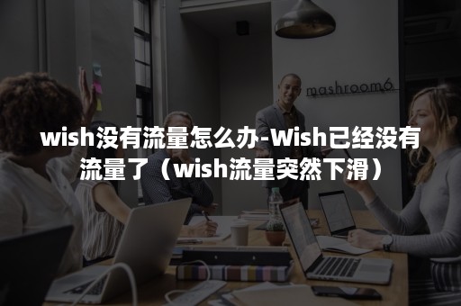 wish没有流量怎么办-Wish已经没有流量了(wish流量突然下滑) wish没有流量怎么办-Wish已经没有流量了(wish流量突然下滑)