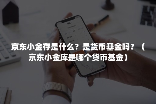 京东小金存是什么？是货币基金吗？（京东小金库是哪个货币基金）